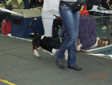DSCN5169.jpg