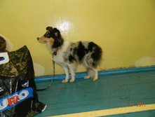 DSCN5172.jpg