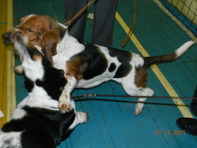 DSCN5174.jpg