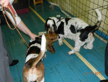 DSCN5176.jpg