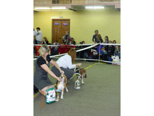 DSCN5181.jpg