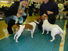 DSCN5185.jpg