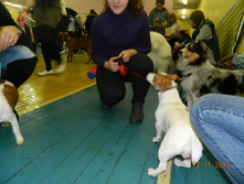DSCN5186.jpg