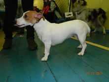 DSCN5189.jpg