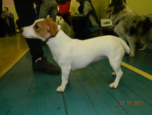 DSCN5190.jpg