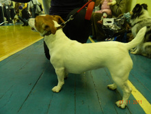 DSCN5191.jpg