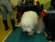 DSCN5192.jpg