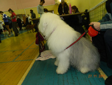 DSCN5193.jpg