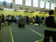 DSCN5194.jpg