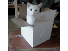 DSC00022.JPG