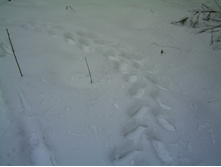 PICT0003.JPG