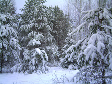 PICT0004.JPG