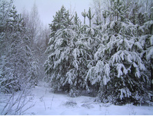 PICT0005.JPG