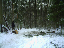 PICT0010.JPG