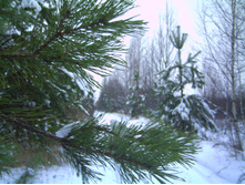 PICT0014.JPG
