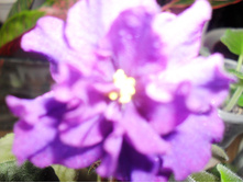SDC12030.JPG