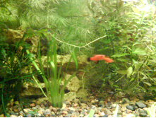 09.03.2009 0:40:10
