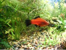 09.03.2009 0:59:56