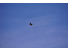 DSC00517.JPG