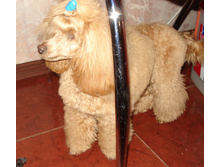 DSC00903.JPG