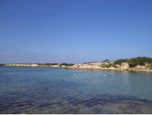 DSC00155.JPG
