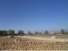 DSC00172.JPG