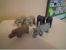 IMG 023.JPG