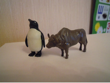IMG 025.JPG