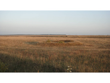 16.09.2010 11:48:47