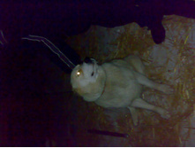 191220101020.jpg