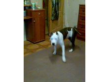 241120111184.jpg