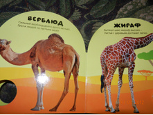 DSCN2124.JPG