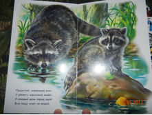 DSCN2139.JPG