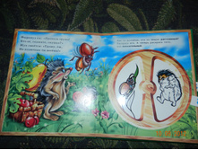 DSCN2173.JPG