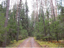 DSCN0495.JPG