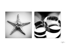 Rings.jpg
