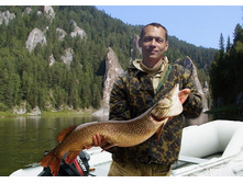 fishmanggg1.jpg