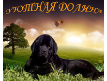 vetton_ru_829-web.jpg