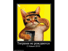 17.09.2010 11:21:11