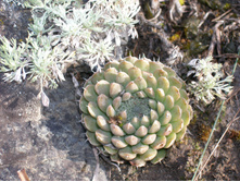 P7230726