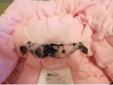 DSCN1410.JPG