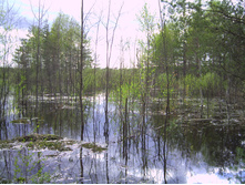 PICT0109.JPG
