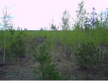 PICT0114.JPG
