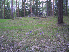 PICT0115.JPG