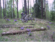 PICT0119.JPG