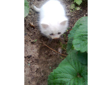 19.09.2010 7:56:36
