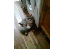 ����0061-1.jpg