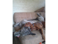 ����0052.jpg