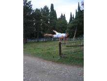 19.09.2010 19:57:38