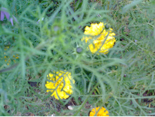 19.09.2010 22:42:08